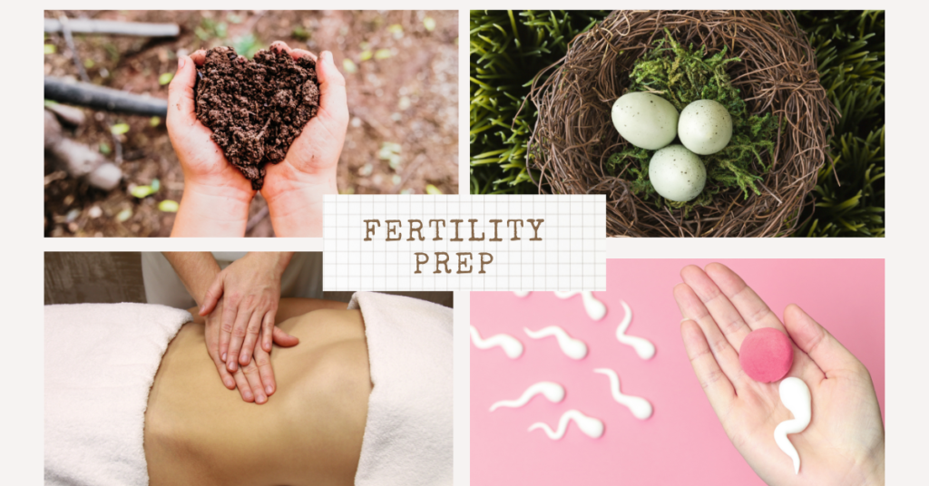 Fertility and preparing for conception