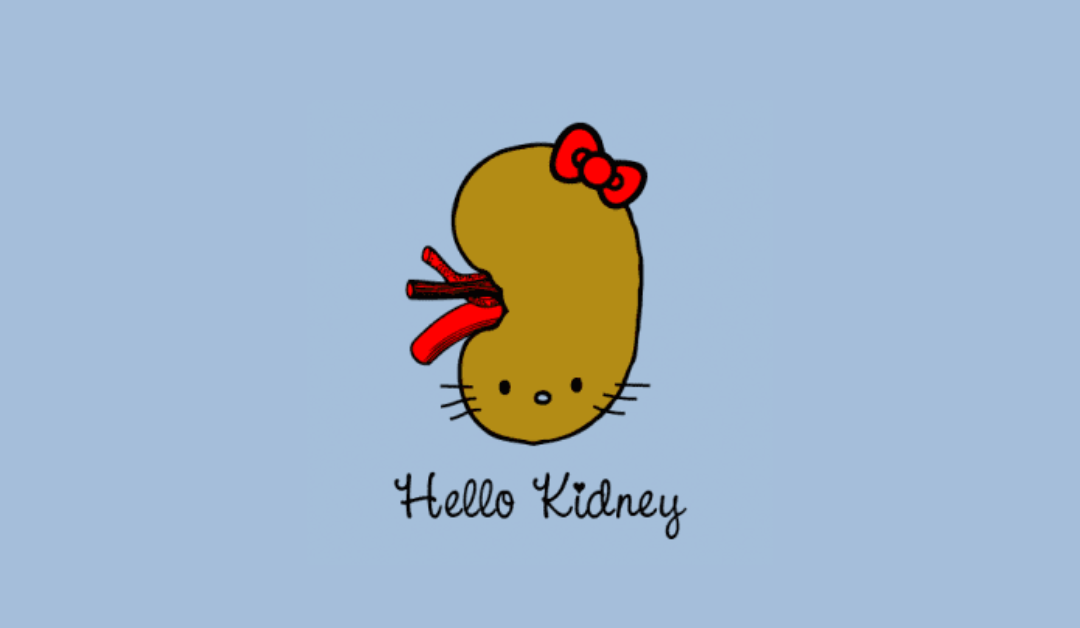 Hello Kidney-Nourishing Kidney Chi Kung