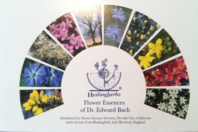 Flower Essence Therapy