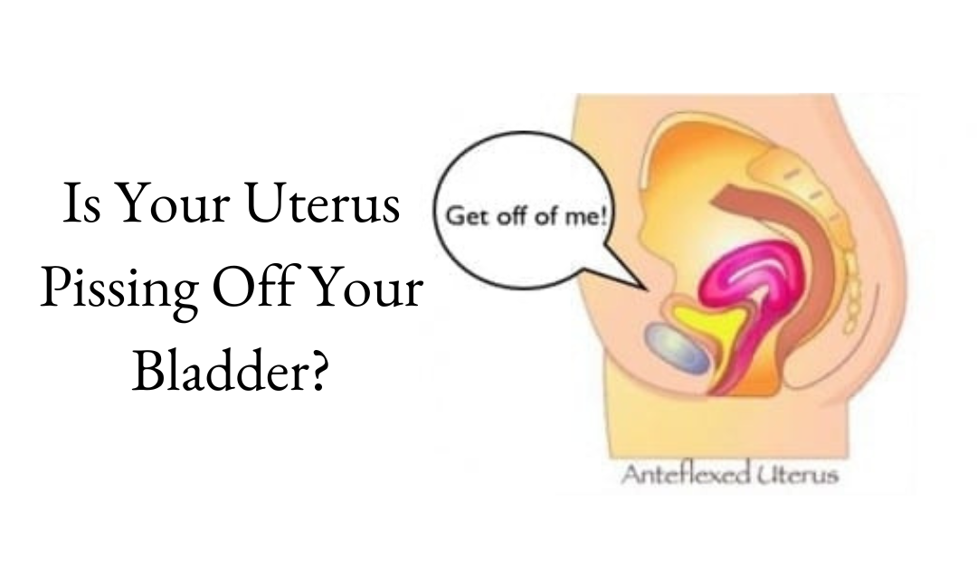 Is Your Anteflexed Uterus Pissing Off Your Bladder?