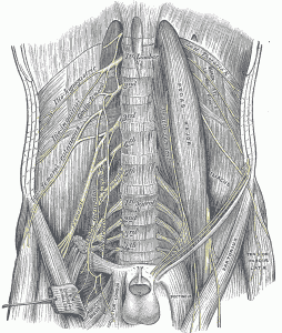 Rib Thrusting and Knee Pain