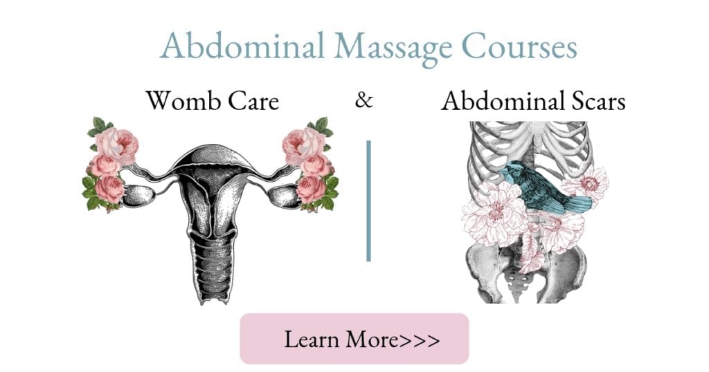 abdominal massage courses