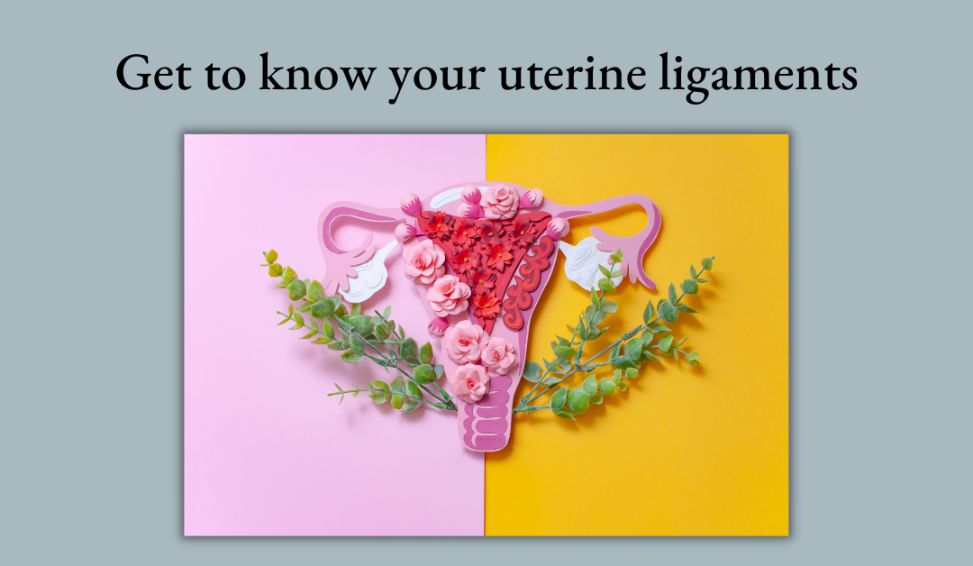 Uterine Ligaments