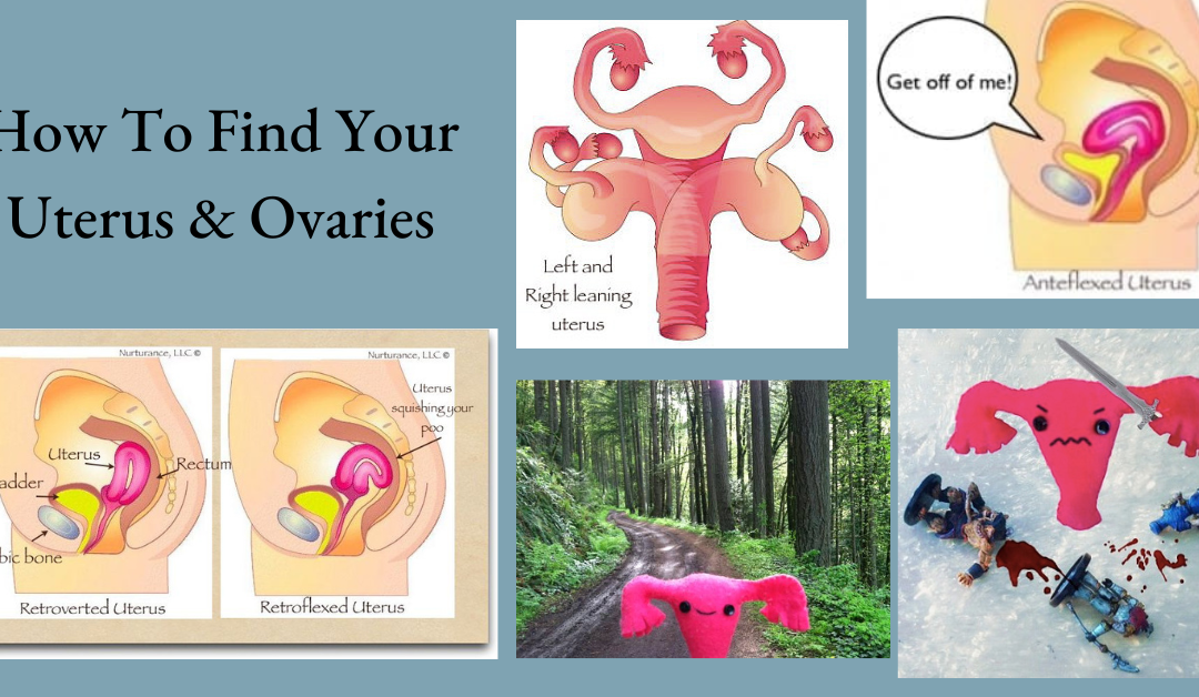 Finding Your Uterus and Ovaries
