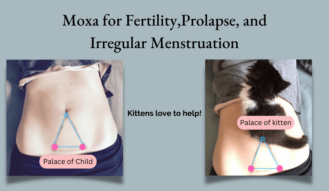 Moxa- Fertility, Prolapse, and Irregular Menstruation