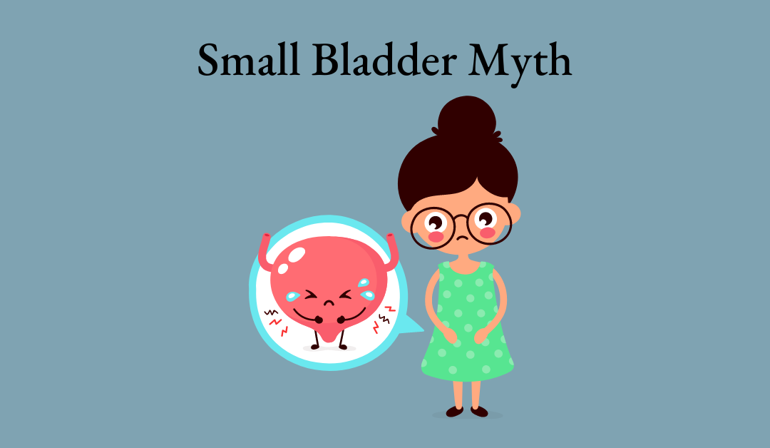 Small Bladder Myth